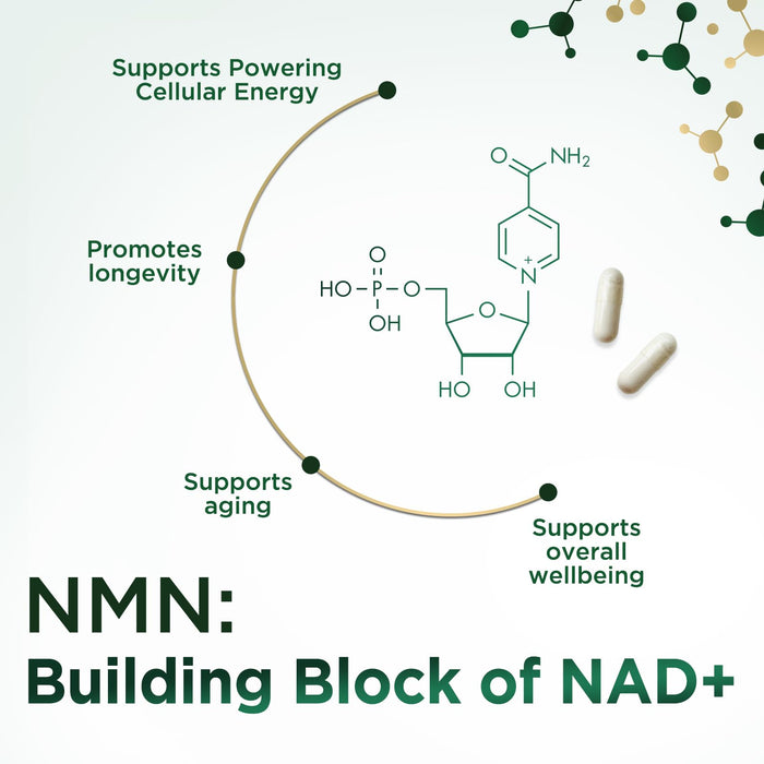 NMN 500 mg - 60 Capsules