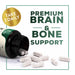 Brain & Bone