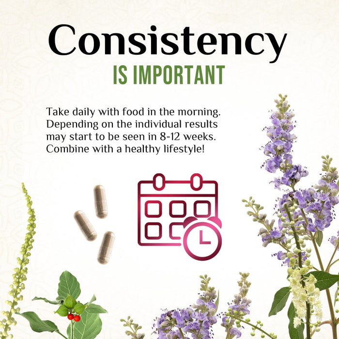 Menopause Support with Black Cohosh - 60 Capsules