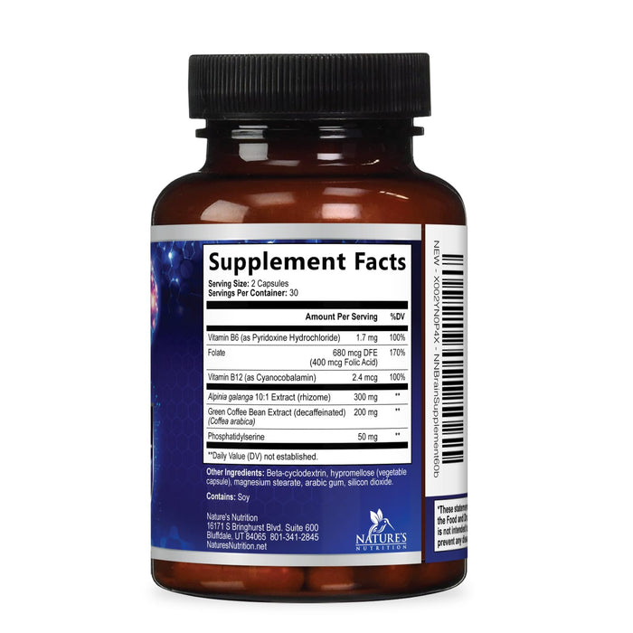 Brain Memory Support