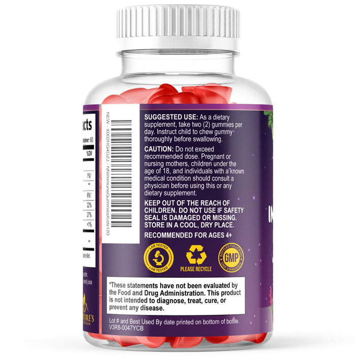 Kids Immune Support Gummies - Vitamin C, Zinc & Echinacea, Children's Daily Immune Health Support Gummy for Ages 4 and Up, Nature's Vitamins for Kids, Vegan & Non-GMO, Berry Flavor - 120 Gummies