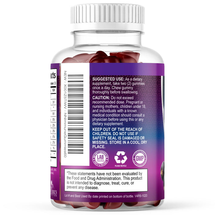 Immune Support Gummies - Sambucus Elderberry Gummy with Elder Berry Extract, Zinc & Vitamin C, Natural Vegan Immune Support Supplement for Adults & Children, Gummy Elderberry Vitamins - 60 Gummies