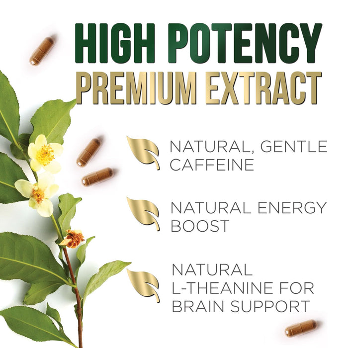 Green Tea Extract Capsules 1000 mg - Standardized 45% EGCG & 98% Polyphenols - 3X Strength Green Tea Pills for Natural Energy - Supports Heart Health, Herbal Supplement, Vegan, Non-GMO - 120 Capsules