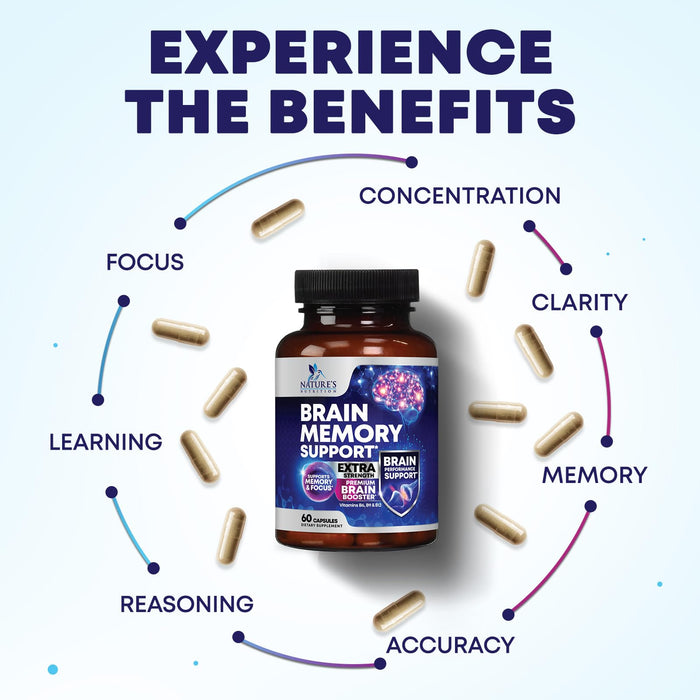 Brain Memory Support