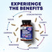 Brain Memory Support