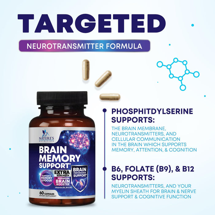Brain Memory Support