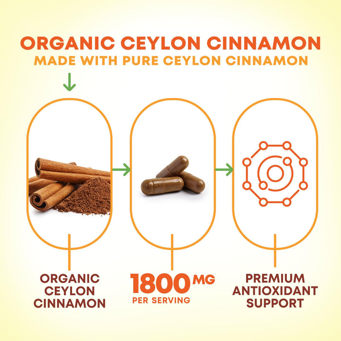 Organic Ceylon Cinnamon Supplement 1800mg - Certified Organic Ceylon Cinnamon Powder Pills - Energy & Heart Support for Women & Men, Bottled in USA, Antioxidant, Gluten Free, Non-GMO - 120 Capsules