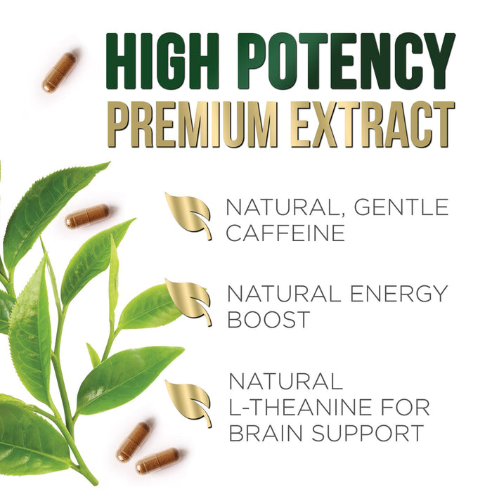 Green Tea Extract Capsules 1000mg 98% Standardized EGCG - 3X Strength for Natural Energy - Heart Support with Polyphenols - Gentle Caffeine - 240 Capsules