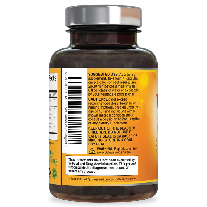Turmeric Curcumin Supplement 2600mg with Organic Ginger & Turmeric, BioPerine Black Pepper Extract 95% Curcuminoids - Advanced Absorption Joint & Antioxidant Extra Strength Support - 120 Capsules
