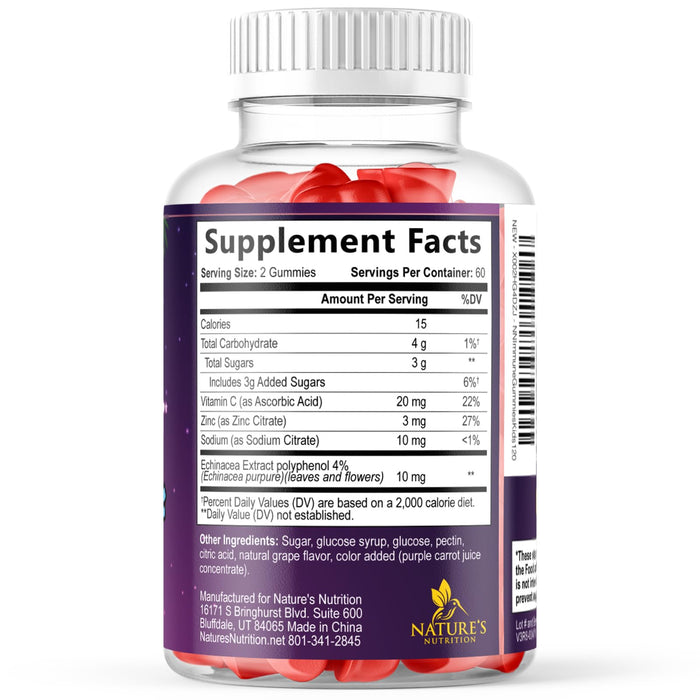 Kids Immune Support Gummies - Vitamin C, Zinc & Echinacea, Children's Daily Immune Health Support Gummy for Ages 4 and Up, Nature's Vitamins for Kids, Vegan & Non-GMO, Berry Flavor - 120 Gummies