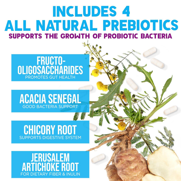 Probiotics for Women & Men 100 Billion CFU - 10 Strains with Lactobacillus, Digestive Gut Health Probiotics & Immune Support Supplement, Supports Occasional Constipation, Gas & Bloating - 60 Capsules
