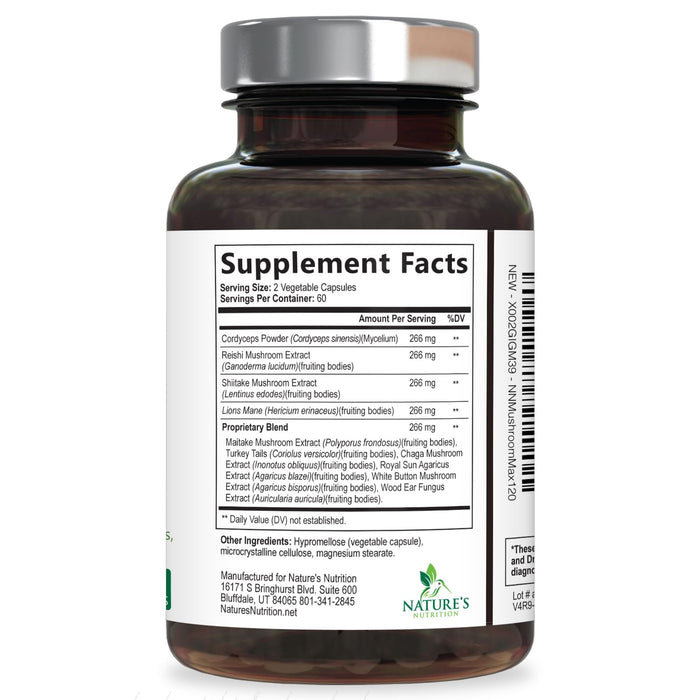 Mushroom Supplement Nootropic 1330mg - 10 in 1 High Strength Brain Supplements Mushroom Complex with Lions Mane, Turkey Tail, Reishi, Cordyceps & Chaga for Memory, Brain & Focus Support - 120 Capsules