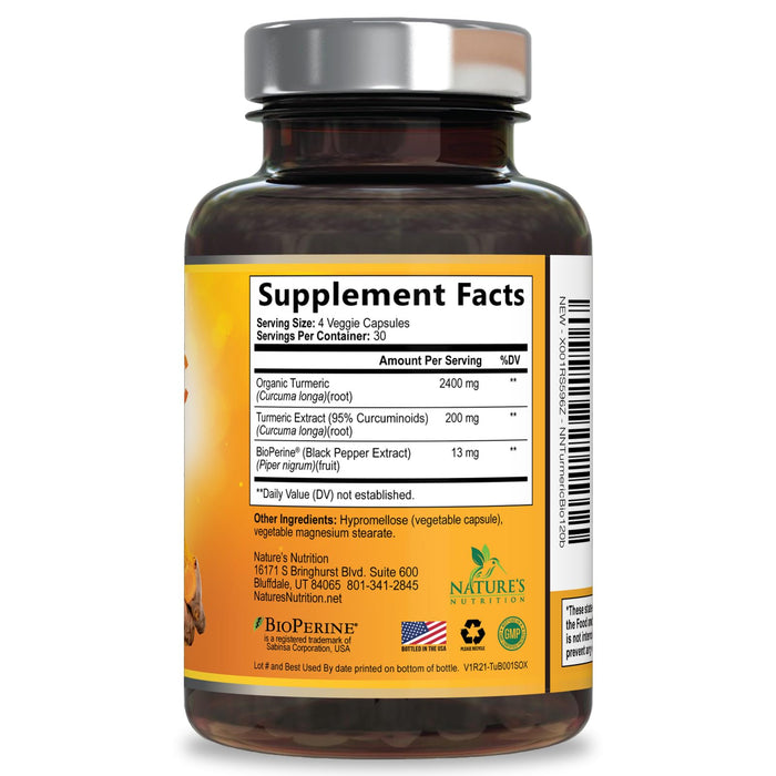 Turmeric Curcumin Supplement with BioPerine 95% Curcuminoids 2600mg with Black Pepper for Best Absorption, Bottled in USA, Best Natural Vegan Joint Support, Nature's Non-GMO Tumeric - 120 Capsules