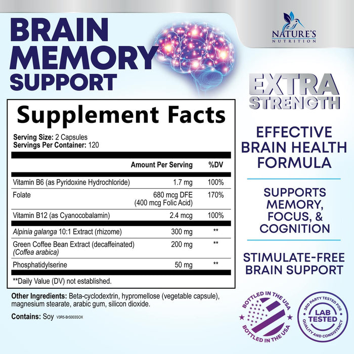 Brain Memory Support