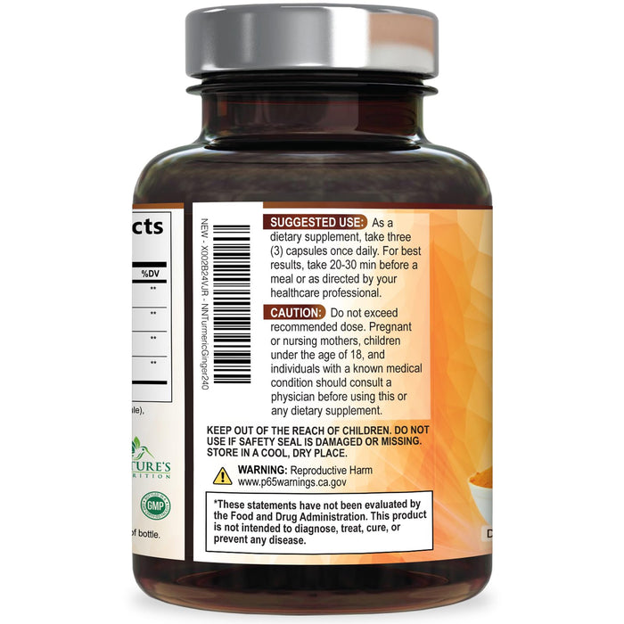 Turmeric Curcumin Supplement 1950mg - 95% Curcuminoids with Organic Turmeric & Ginger, BioPerine Black Pepper for Best Absorption, Nature's Vegan Joint Support, Non-GMO, Bottled in USA - 240 Capsules
