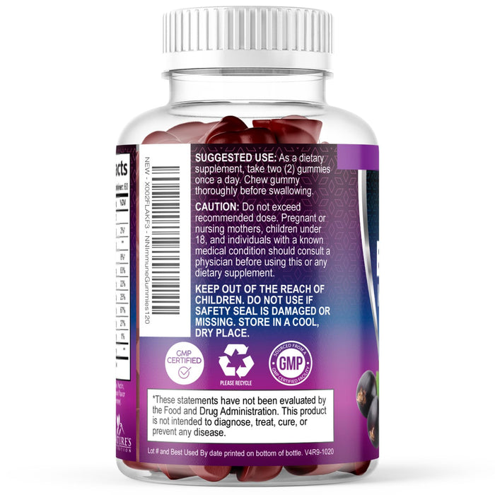 Immune Support Gummies - Sambucus Elderberry Gummy with Elder Berry Extract, Zinc & Vitamin C, Natural Vegan Immune Support Supplement for Adults & Children, Gummy Elderberry Vitamins - 120 Gummies