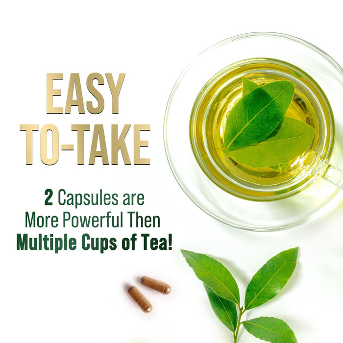 Green Tea Extract 1000 mg - 60 Capsules