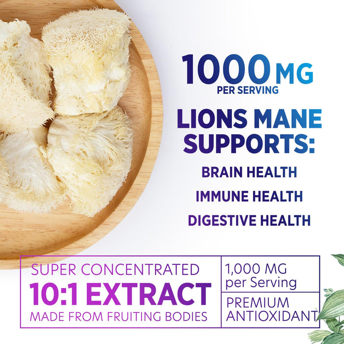 Lions Mane Mushroom Supplement - Brain Health Support for Focus, Memory, Cognition & Immune Support - Nature's Nootropic Lion's Mane Mushroom Extract Non-GMO, Vegetarian & Gluten Free - 60 Capsules