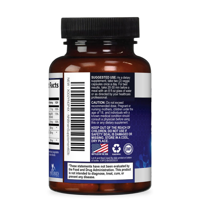 Brain Memory Support