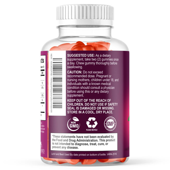 Apple Cider Vinegar Gummies Sugar Free 1000mg for Cleanse, ACV Gummy Vitamin B12 for Digestion Energy & Immune Health Support, Supports Metabolism, Keto Friendly, Apple Raspberry Flavor - 120 Gummies