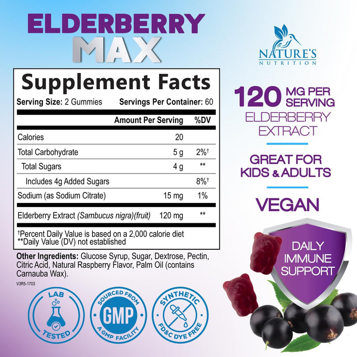 Elderberry Immune Support Gummies - Super Concentrated 35:1 Extract, Equivalent to 4200mg of Elderberries - Sambucus Black Elder Berry Vitamin Supplement, Daily Support for Kids & Adults - 120 Gummies