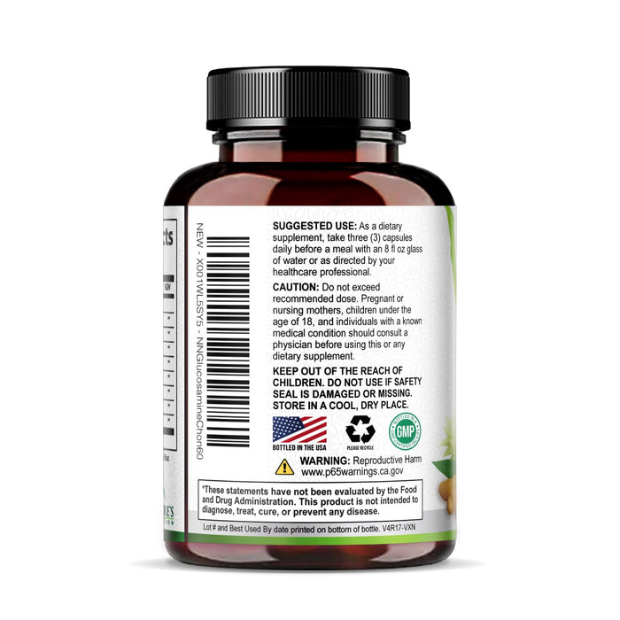 Glucosamine Chondroitin MSM 2100 mg - 60 Capsules