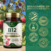 B12 