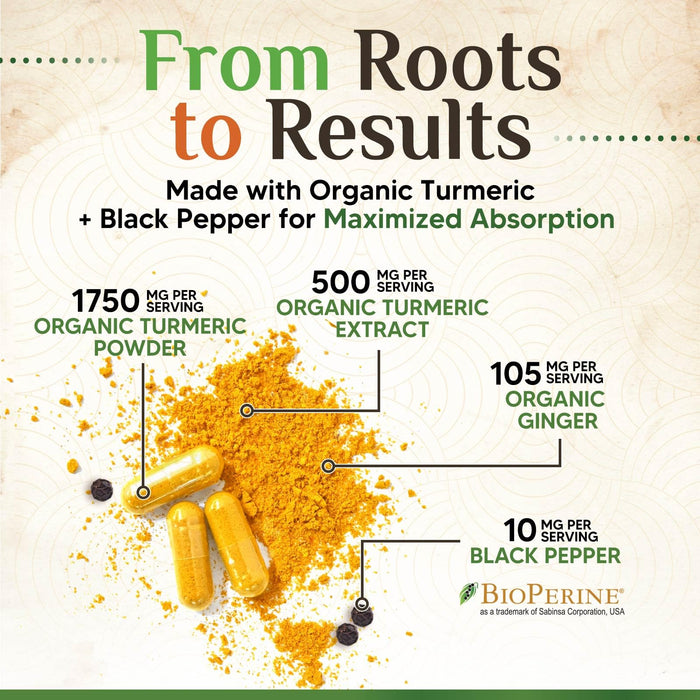 Turmeric Curcumin + Ginger & Black Pepper 1750 mg - 360 Count