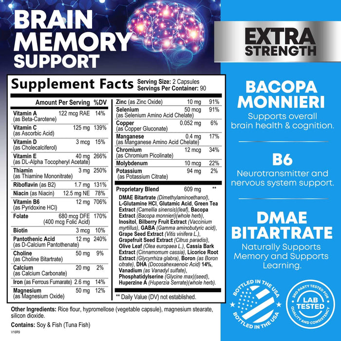 Brain Memory Support