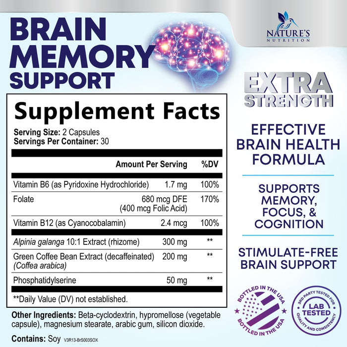 Brain Memory Support