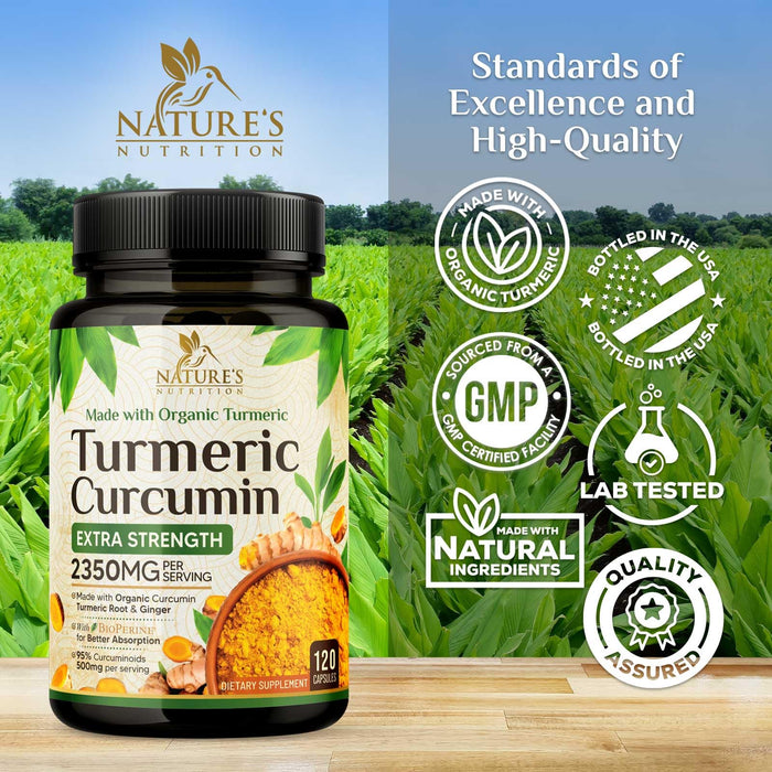 Turmeric Curcumin + Ginger & Black Pepper 1750 mg - 120 Count