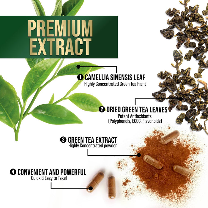 Green Tea Extract Capsules 1000mg 98% Standardized EGCG - 3X Strength for Natural Energy - Heart Support with Polyphenols - Gentle Caffeine - 240 Capsules