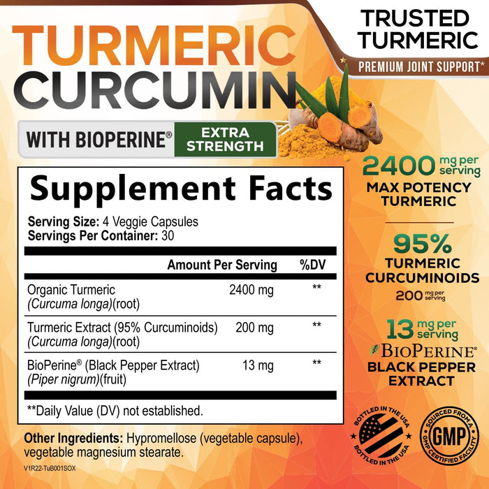 Turmeric Curcumin Supplement with BioPerine 95% Curcuminoids 2600mg with Black Pepper for Best Absorption, Bottled in USA, Best Natural Vegan Joint Support, Nature's Non-GMO Tumeric - 120 Capsules