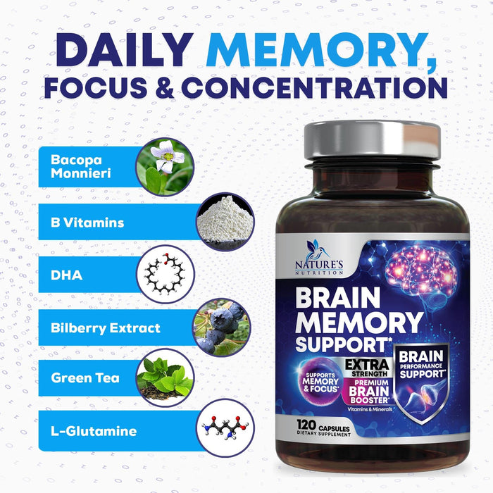 Brain Memory Support