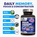 Brain Memory Support