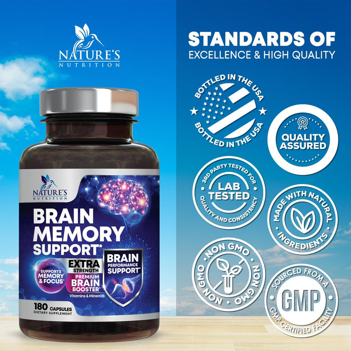 Brain Memory Support