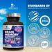 Brain Memory Support