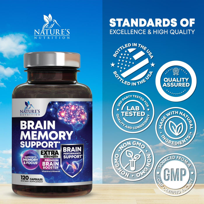 Brain Memory Support